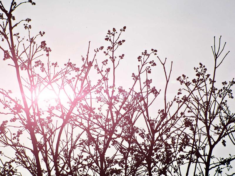 sudoku diagonal variant screenshot 1